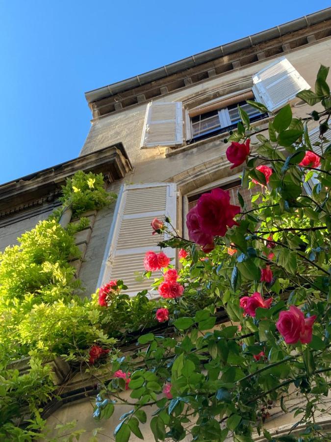 Cocooning Avignon Hotel Eksteriør billede