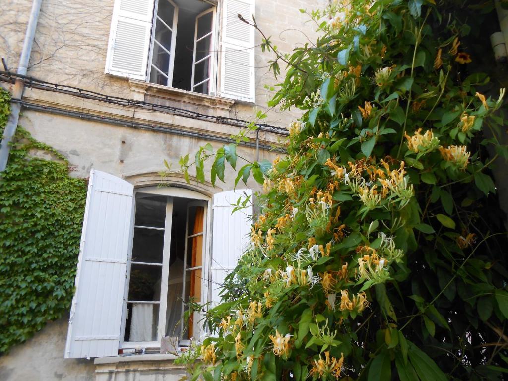 Cocooning Avignon Hotel Eksteriør billede